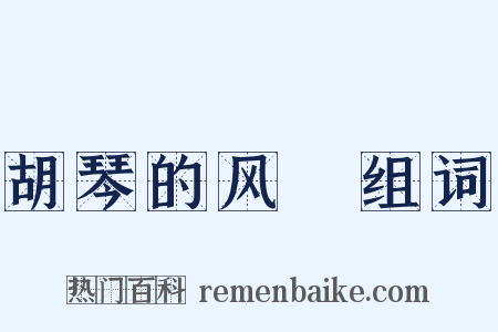 胡琴的风诐组词是什么意思的图片